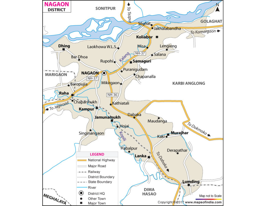 Buy Nagaon District Map online